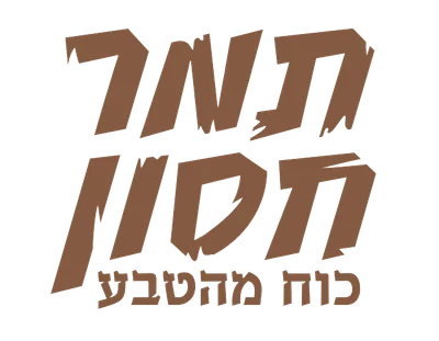 תמר חסון